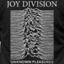 Joy Division