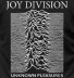 Joy Division