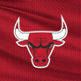 Chicago Bulls