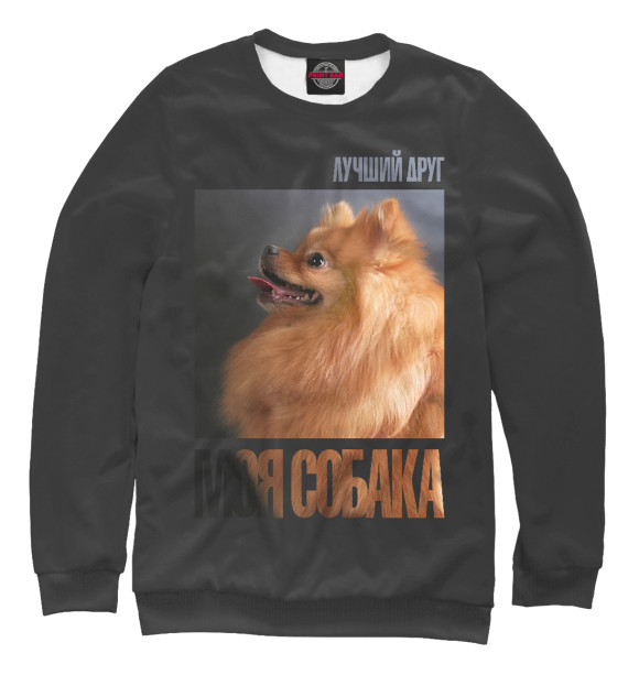 Свитшот для девочек с изображением Померанский шпиц цвета Белый