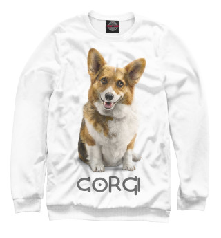 Женский свитшот Corgi Dog