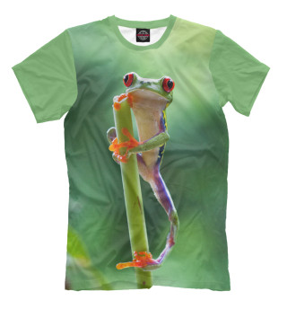 Лягушонок