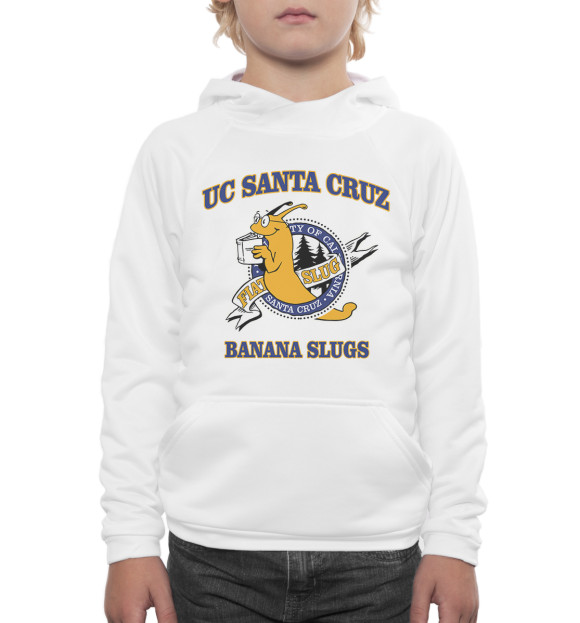 Худи для мальчика с изображением UC Santa Cruz Banana Slugs цвета Белый