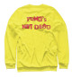 Мужской свитшот Punks not Dead