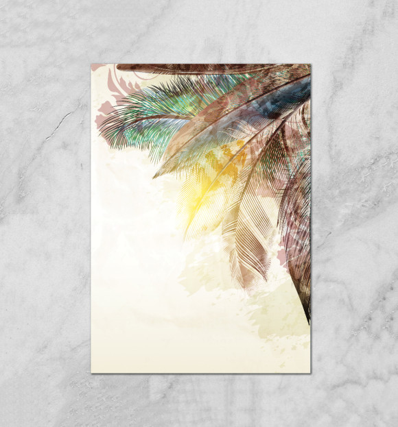 Плакат с изображением Shiny Feathers цвета Белый