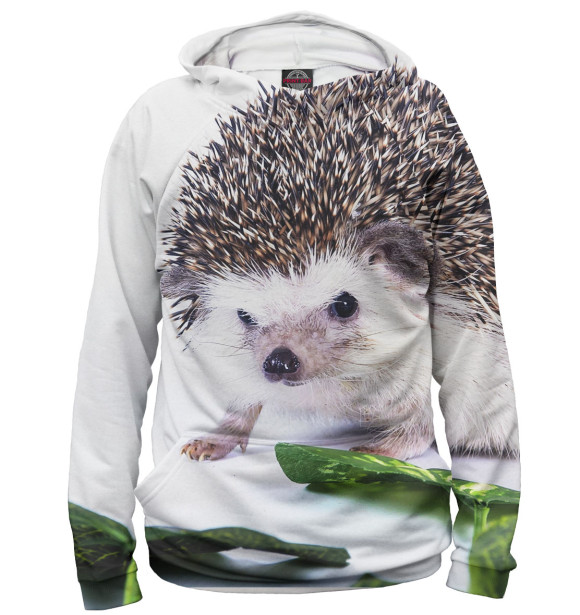 Мужское худи с изображением Ёжики цвета Белый