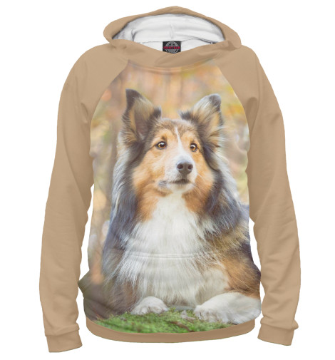 

Худи Print Bar, Белый, Колли