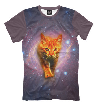 Мужская футболка Звёздный кот