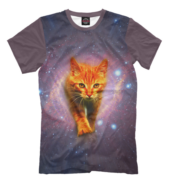 Мужская футболка с изображением Звёздный кот цвета Серый