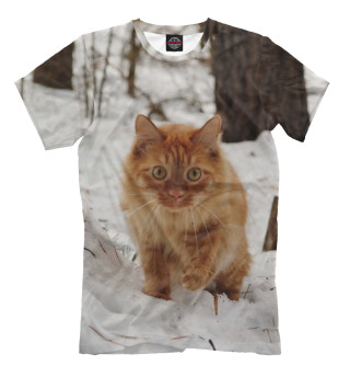 Мужская футболка Рыжий котенок
