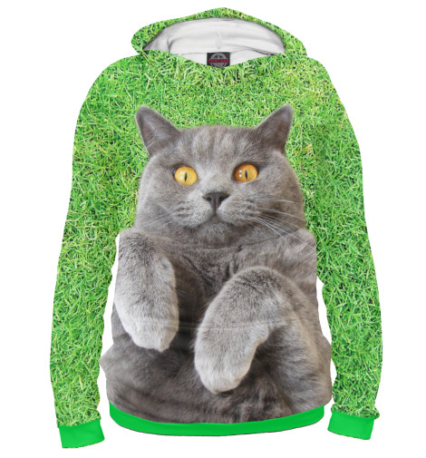 

Худи Print Bar, Белый, Кот