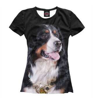 Бернский зенненхунд