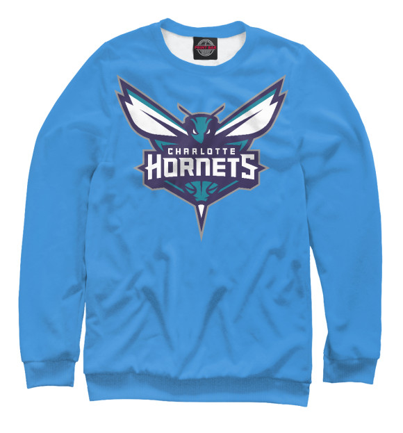 Свитшот для мальчиков с изображением Charlotte Hornets цвета Белый