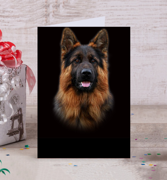 Открытка с изображением Длинношерстная овчарка цвета Белый