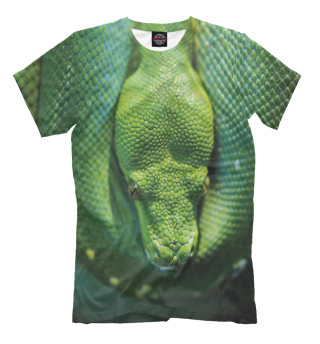Мужская футболка Зеленый змий