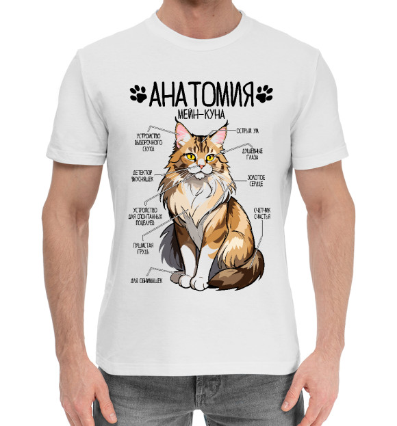 Мужская хлопковая футболка с изображением Мейн-кун анатомия цвета Белый