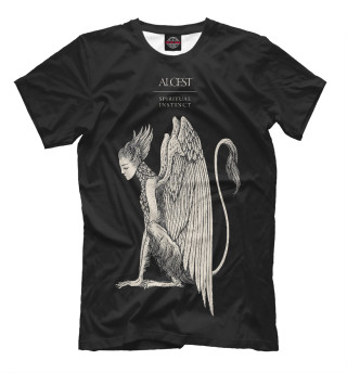 Футболка для мальчиков Alcest