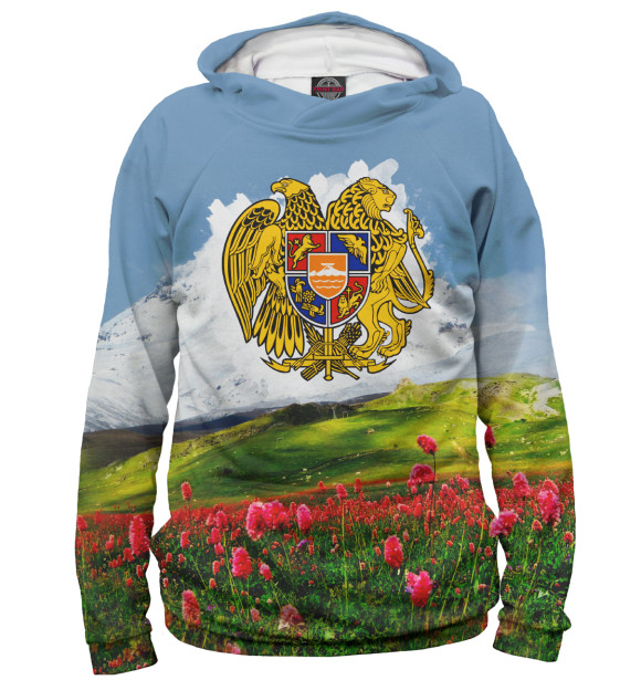 Мужское худи с изображением Армения цвета Белый