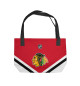 Chicago Blackhawks
