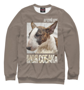 Бультерьер