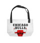 CHICAGO BULLS