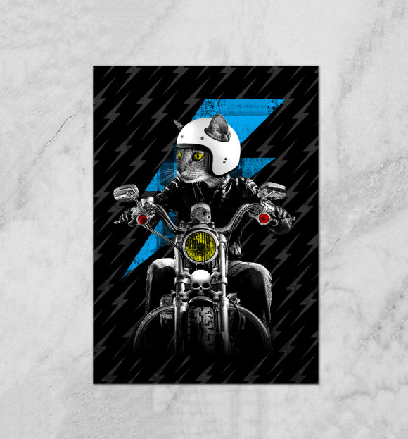 Плакат с притом Кот байкер цвета Белый Плакат с изображением Кот байкер цвета Белый
