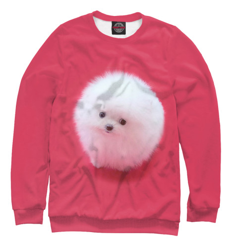 

Свитшоты Print Bar, Белый, Белый шпиц