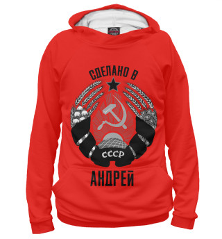 Худи для мальчика Андрей сделано в СССР