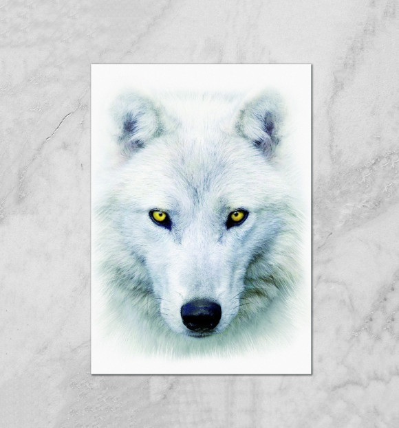 Плакат с изображением wolf цвета Белый