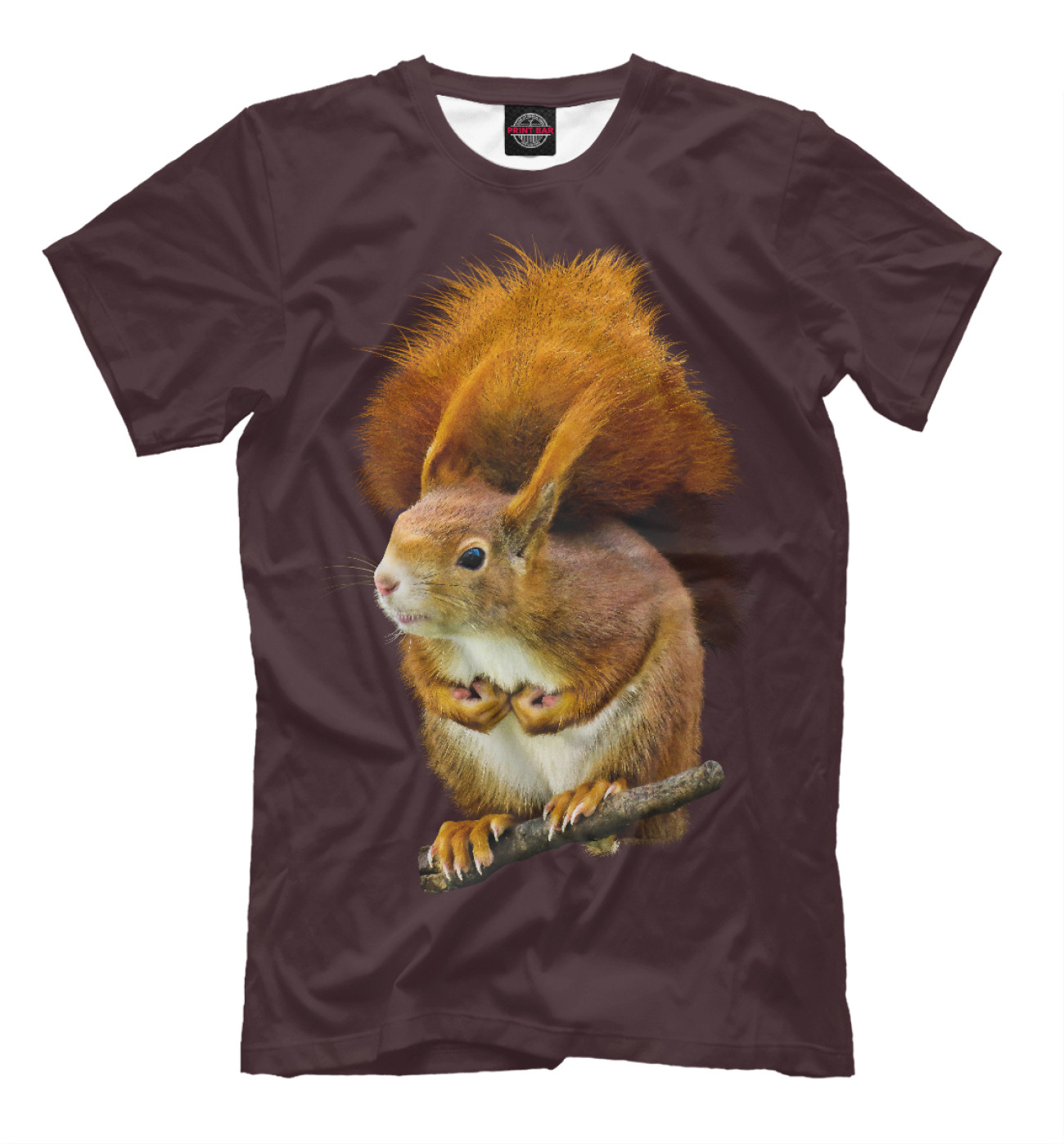 Костюмы зверей. Белки для мужчин. Белки для мужчин. Футболка белочка. Смешные костюмы для взрослых.