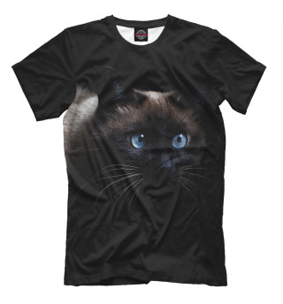 Мужская футболка Сиамский кот