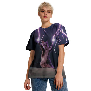 Грозовой кошак