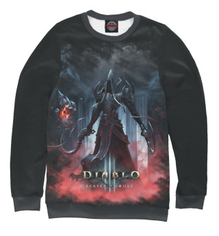 Мужской свитшот Diablo III