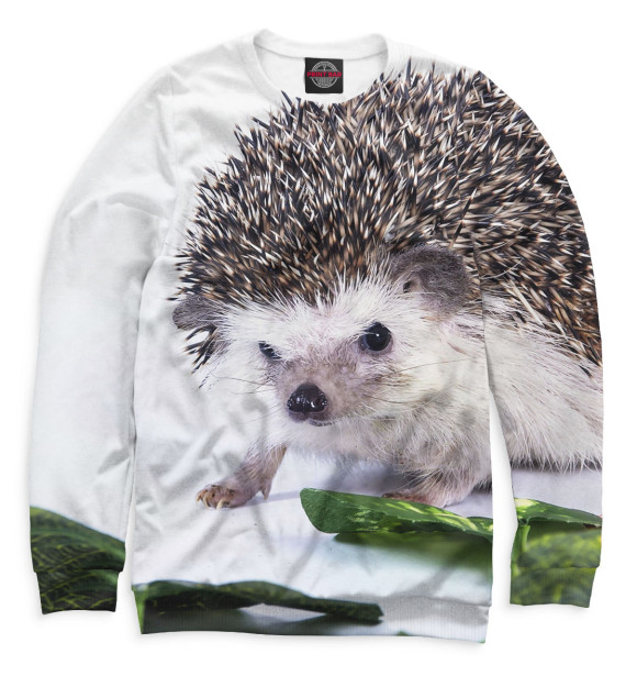 Мужской свитшот с изображением Ёжики цвета Белый