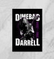 Плакат Dimebag Darrell