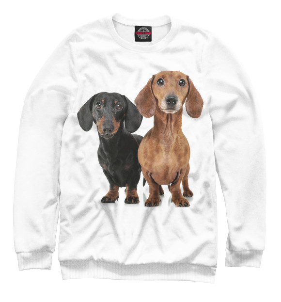 Мужской свитшот с изображением Таксы цвета Белый