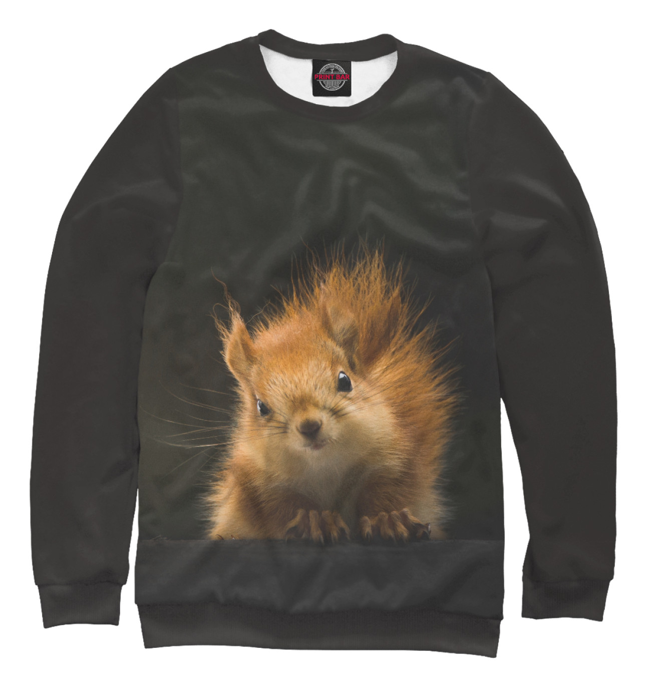 Белки для мужчин. Футболка белочка. Белочка у человека. Мужчина и белочка. Белки для мужчин.