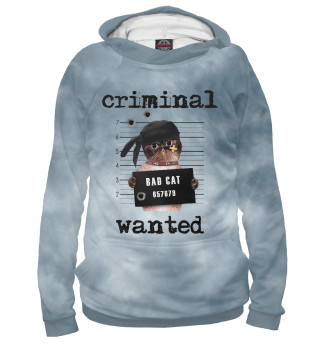 Criminal cat