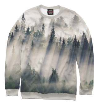 Ельник в тумане