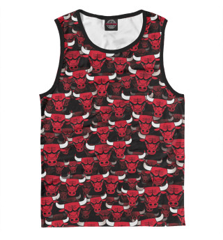 Быки Chicago Bulls