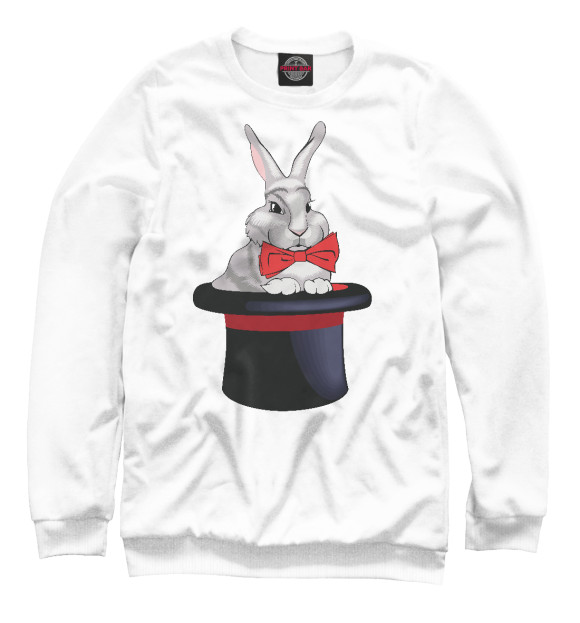 Свитшот для мальчиков с изображением Кролик в шляпе цвета Белый