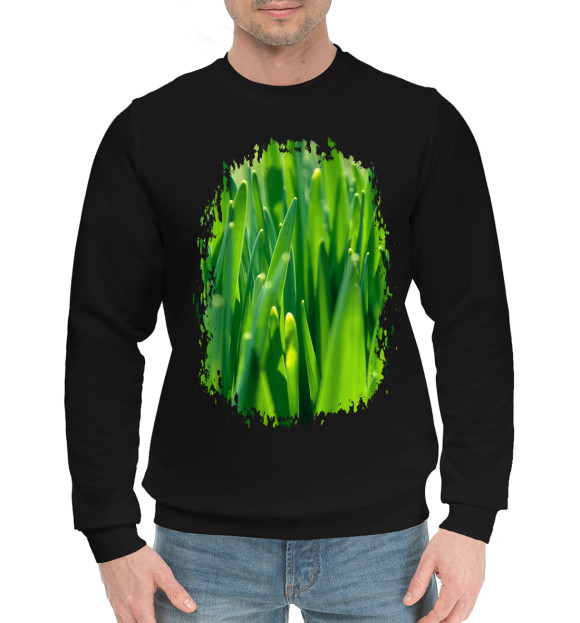 Мужской хлопковый свитшот с изображением Трава цвета Черный