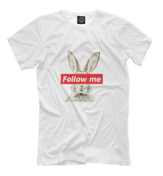 Кролик Follow me