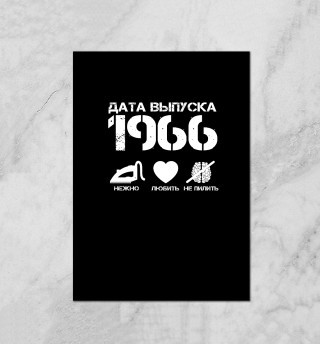 Дата выпуска 1966