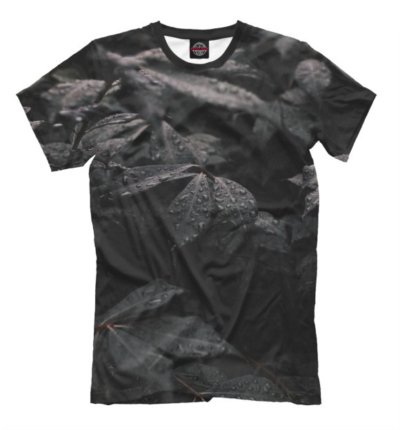 Мужская футболка с изображением Ночная идилия цвета Черный