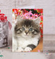 Открытка Котенок