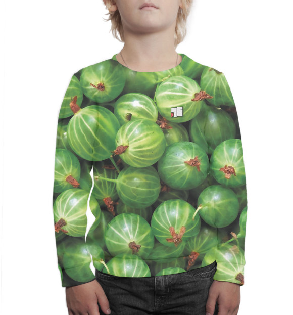 Свитшот для мальчиков с изображением Крыжовник цвета Белый