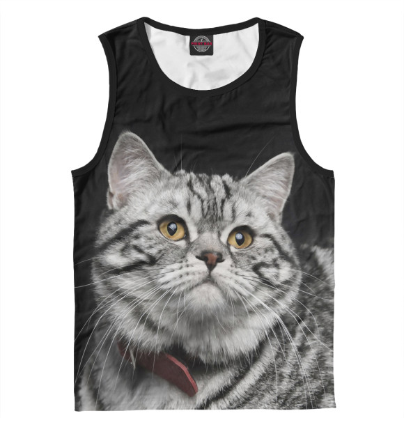 Мужская майка с изображением Серый кот цвета Белый