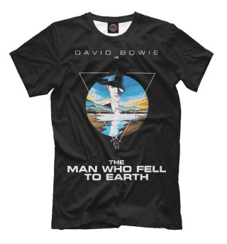 The Man Who Fell to Earth