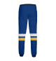 Мужские спортивные штаны Сент-Луис Блюз (форма)